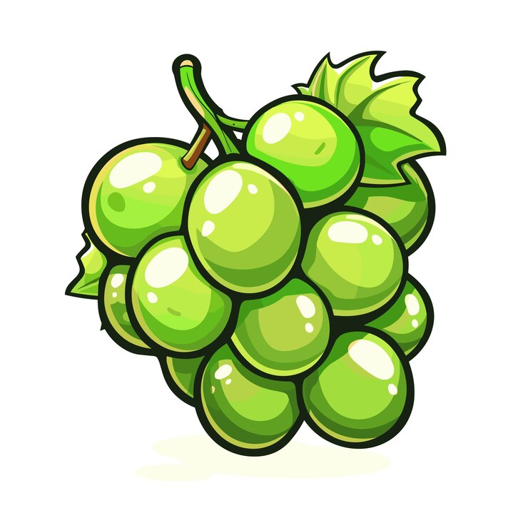 Vector ícono vectorial de uva ilustración vectorial de uva verde con hoja aislada de fondo blanco símbolo del logotipo de la uva de vino