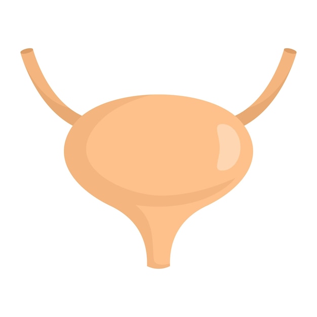 Icono de vejiga Ilustración plana del icono de vector de vejiga para diseño web