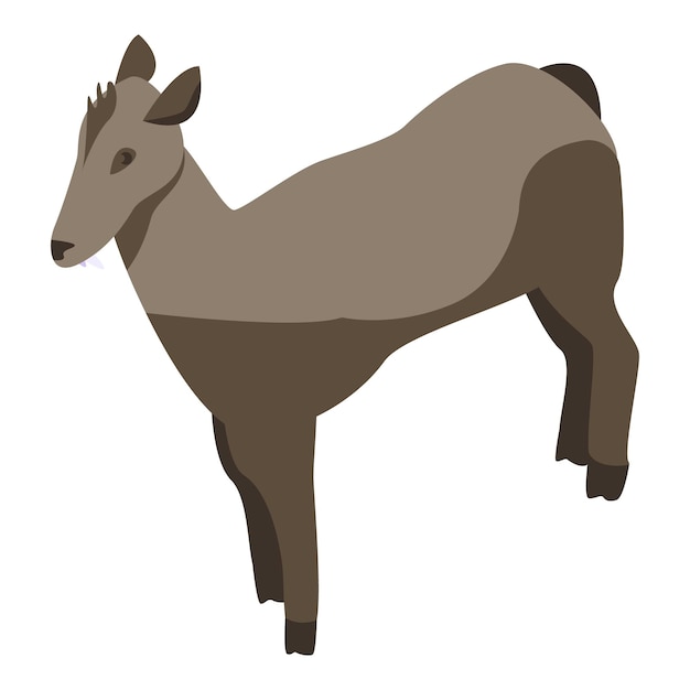 Icono de venado hembra animal isométrico de icono de vector de venado hembra animal para diseño web aislado sobre fondo blanco