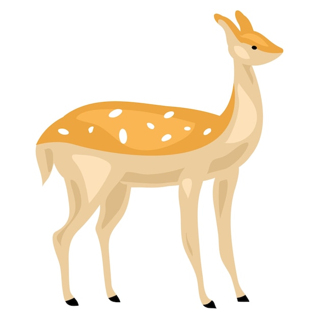 Icono de venado hembra Caricatura de icono de vector de venado hembra para diseño web aislado sobre fondo blanco