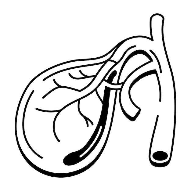 Un icono de la vesícula biliar diseñado en estilo de dibujo