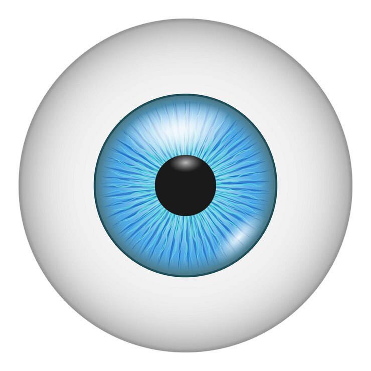 Vector icono de la vista ilustración realista del icono vectorial de la vista para la web