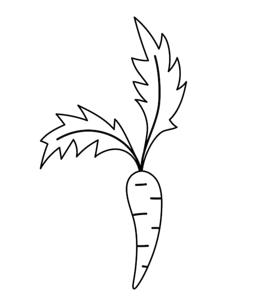 Icono de zanahoria en blanco y negro vectorial Ilustración de esquema vegetal de raíz saludable o página para colorear Prediseñadas de alimentos Linda planta aislada en fondo blancoxA