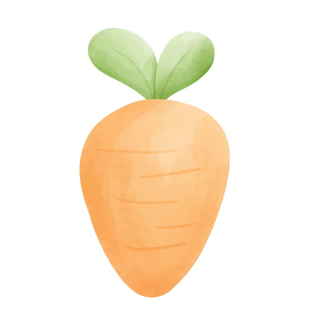 Icono de zanahoria lindo aislado en fondo blanco