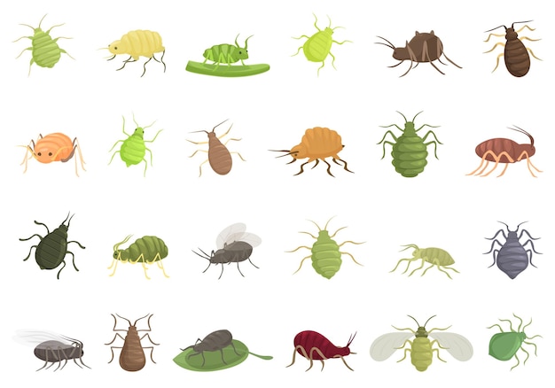 Iconos de áfidos conjunto vector de dibujos animados naturaleza de verano de insectos planta de jardín de raíces