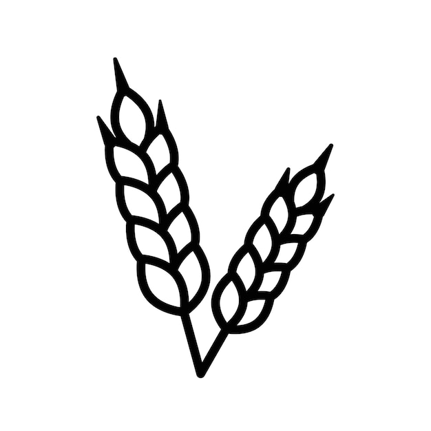 Iconos de alimentos con un alto contenido de fibra