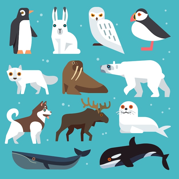 Vector iconos de animales polares