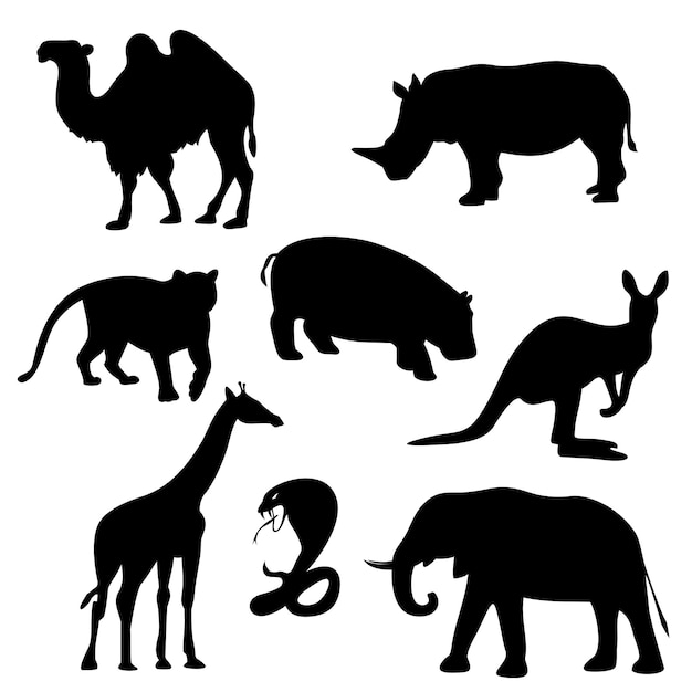 Iconos de animales sobre fondo blanco