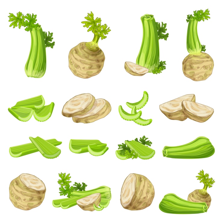 Vector los iconos de apio establecen el vector de dibujos animados alimentos de tallo saludable come una dieta fresca