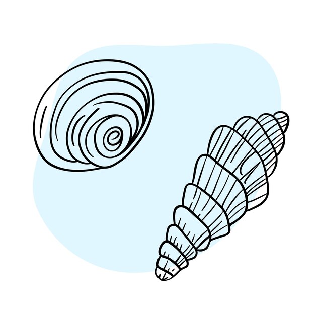 Iconos de arte de líneas marinas de conchas marinas mar y playa conchas de coral bajo el agua línea dibujada a mano