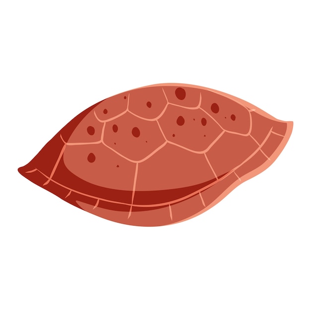 Vector iconos de arte vectorial de semillas de cacao