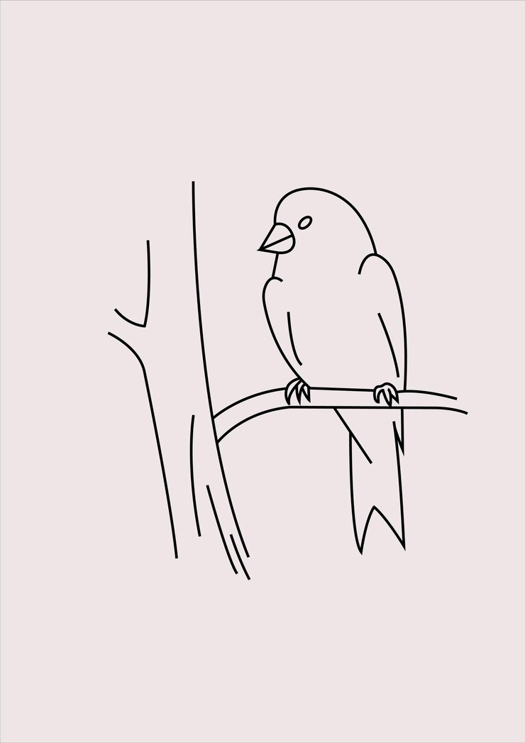 Iconos de aves voladoras pictogramas de estilo de línea delgada Concepto de icono de aves dibujo de línea de icono en estilo moderno