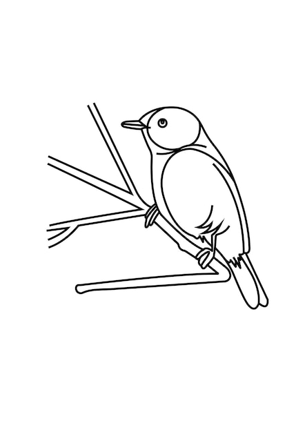 Iconos de aves voladoras pictogramas de estilo de línea delgada Concepto de icono de aves dibujo de línea de icono en estilo moderno