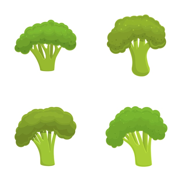 Los íconos de brócoli fresco se establecen en el vector de dibujos animados.
