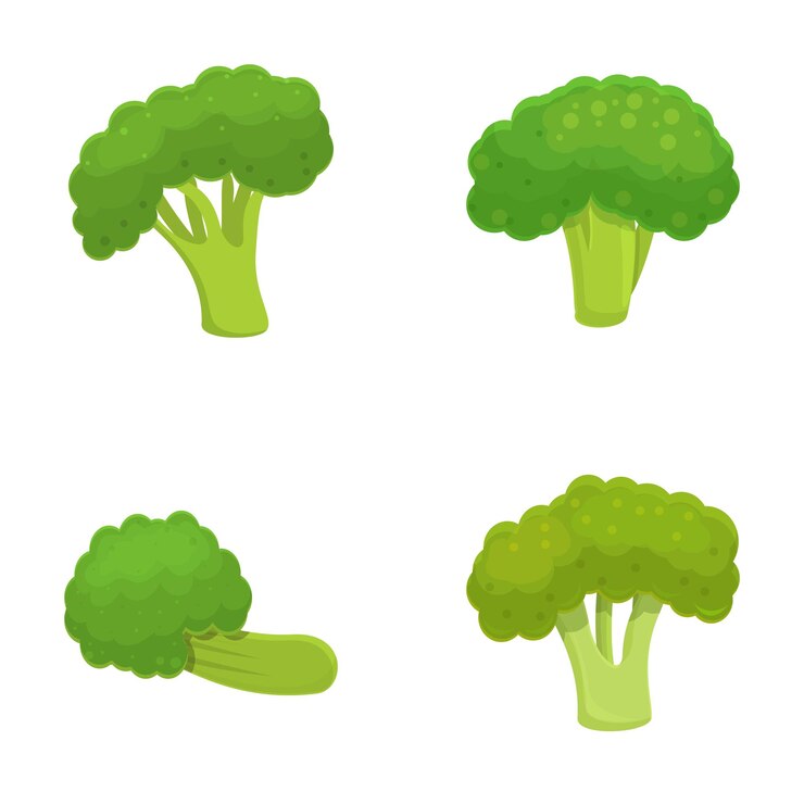 Vector iconos de brócoli verde con vector de dibujos animados repollo de brócolo orgánico en el tallo