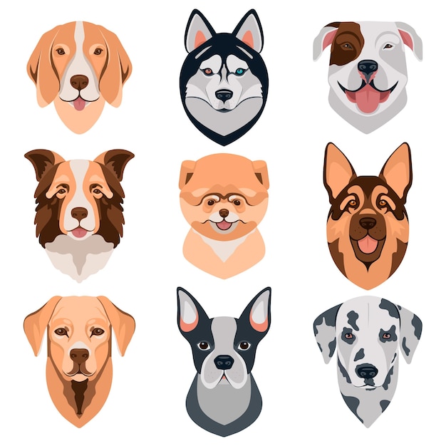 Vector iconos de cabeza de diferentes razas de perro juego de caras de perro de dibujos animados ilustración vectorial aislada en blanco cabezas de diferentes razas de perrito