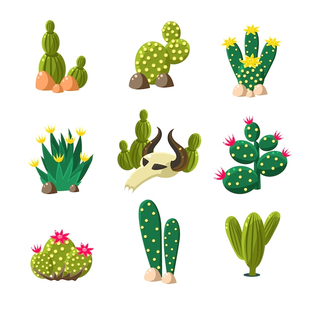 Iconos de cactus y calavera, conjunto de ilustración