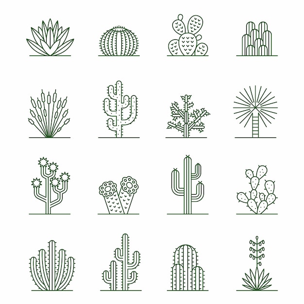 Iconos de cactus Conjunto vectorial de suculentas del desierto para diseño