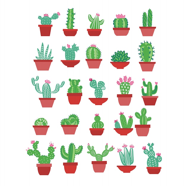 Iconos de cactus en un estilo plano dibujado a mano sobre un fondo blanco. Inicio plantas verdes cactus con flores en macetas.