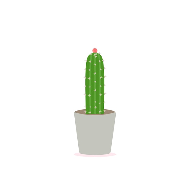 Iconos de cactus en un estilo plano sobre un fondo blanco Plantas caseras de cactus en macetas y con flores
