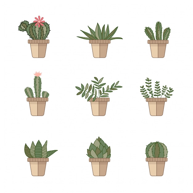 Iconos de cactus en un estilo plano sobre un fondo blanco