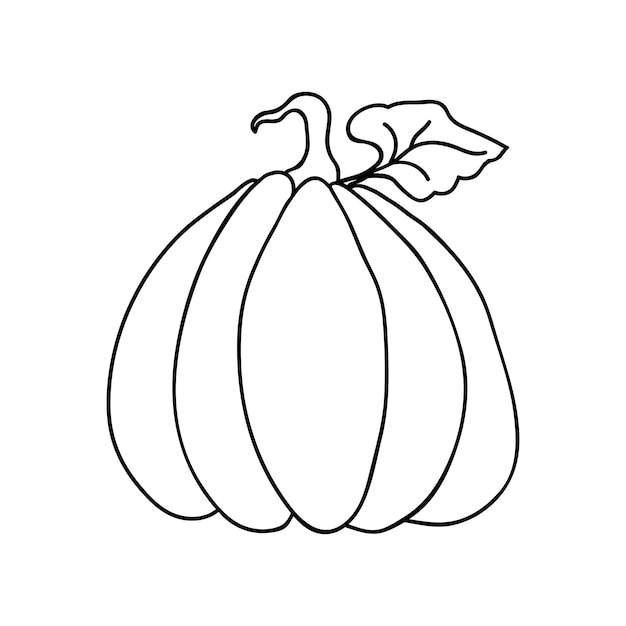 Iconos de calabaza fruta grande con hoja en dibujos de líneas simples ilustración vectorial de calabaza para halloween o insignias de cosecha para embalaje de etiquetas