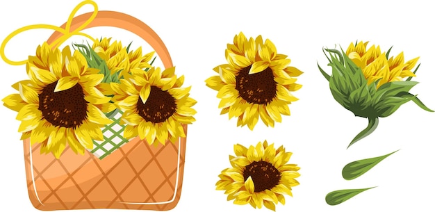 iconos de una canasta de mimbre rectangular con flores, a saber, brotes de girasol amarillos y las flores