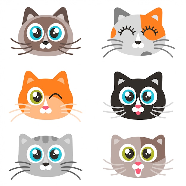 Vector iconos de caras de gatos lindos aislados en blanco