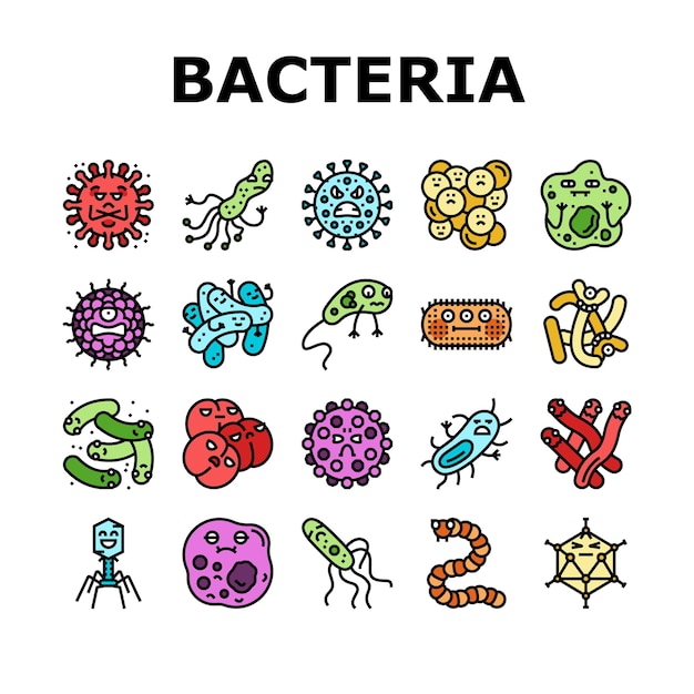 Vector iconos de células de bacterias virus bacteria set vector