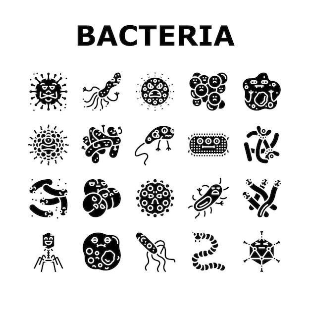 Vector iconos de células de bacterias virus bacteria set vector
