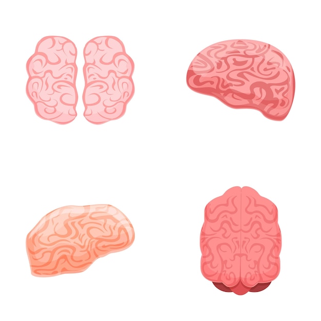 Vector los iconos del cerebro establecen el vector de dibujos animados del hemisferio izquierdo y derecho del cerebro humano