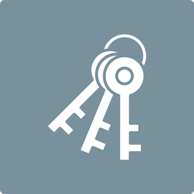 Iconos de conjunto de claves