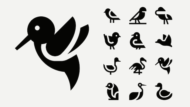 Iconos de contorno de aves