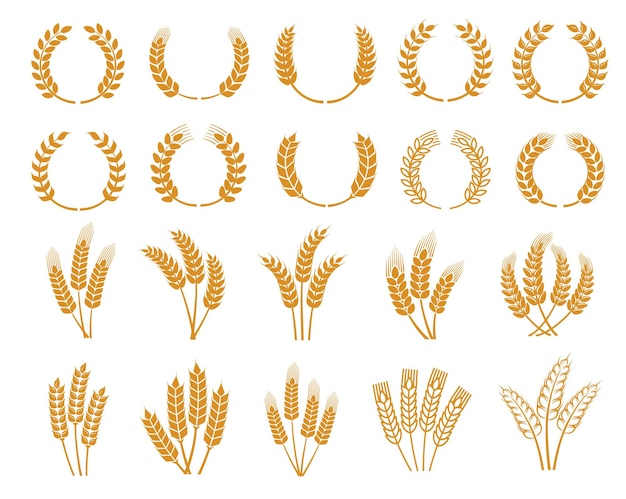 Iconos de corona de laurel de espigas y espigas de trigo de cereales