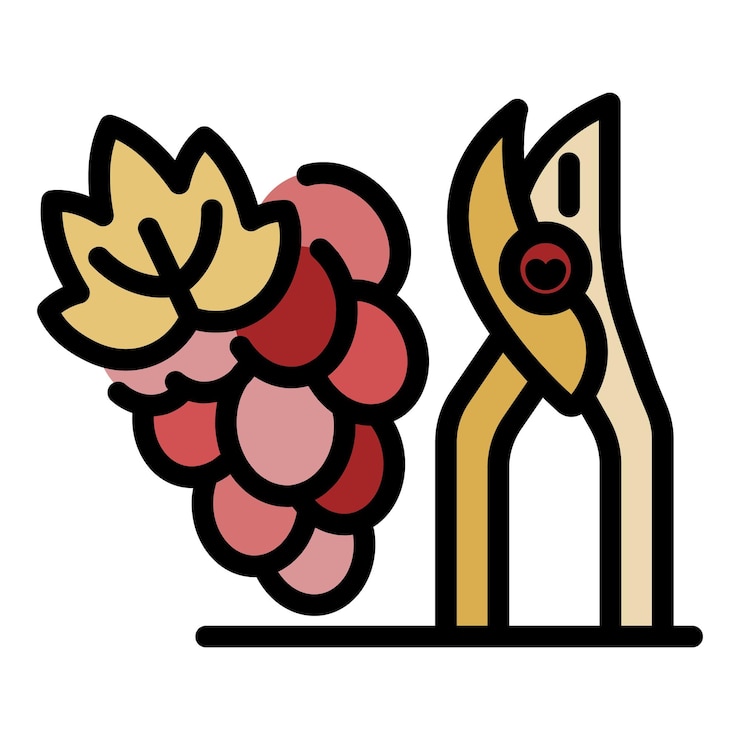 Vector iconos de cortadores y uvas contorno de cortadoras y uvas iconos vectoriales de color plano aislado