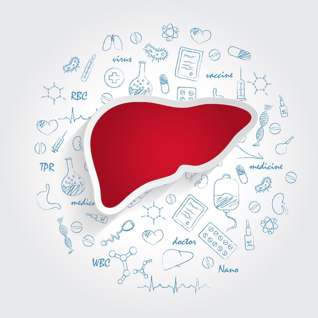 Iconos para especialidades médicas hepatología y concepto hepático con doodle de medicina dibujado a mano