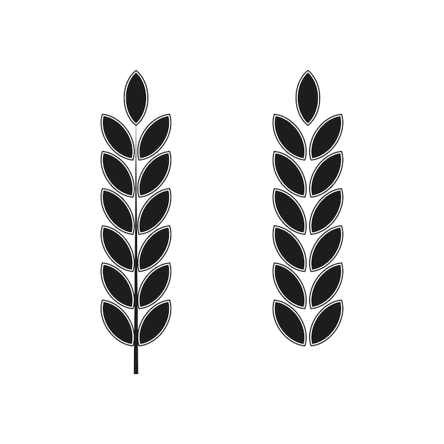 Iconos de espiguillas para el diseño de envases. Fondo de agricultura. ilustración vectorial