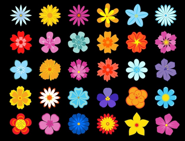 Iconos de flores coloridas con margaritas, gerberas, violetas, acianos, ásteres y caléndulas sobre fondo negro