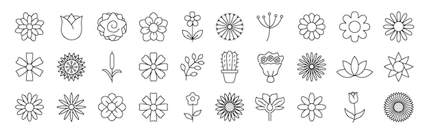 Iconos de flores Jardín y colección de flora Ilustración vectorial