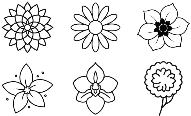 Iconos de flores de línea simple