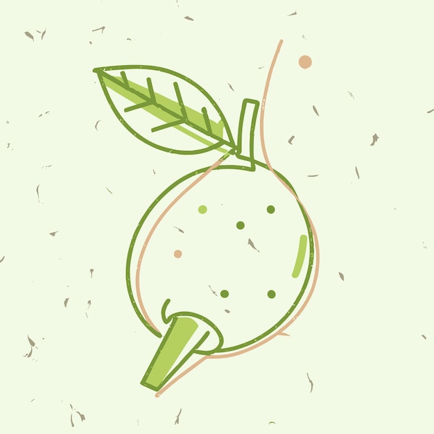 Vector iconos de frutas en un fondo blanco verde