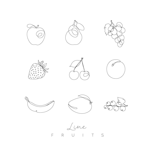 Iconos de frutas manzana, pera, uva, fresa, cereza, albaricoque, plátano, mango, grosella en línea de pluma