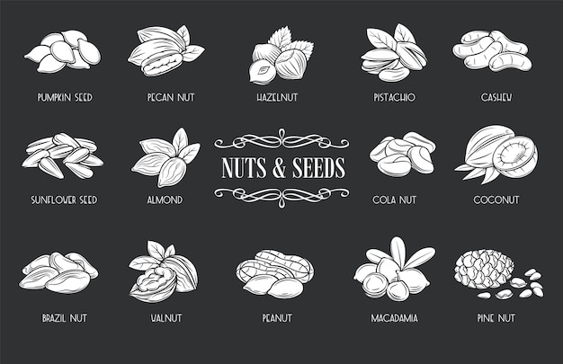 Iconos de glifo de nueces y semillas. Blanco sobre negro ilustración nuez de cola, semilla de calabaza, maní y semillas de girasol.