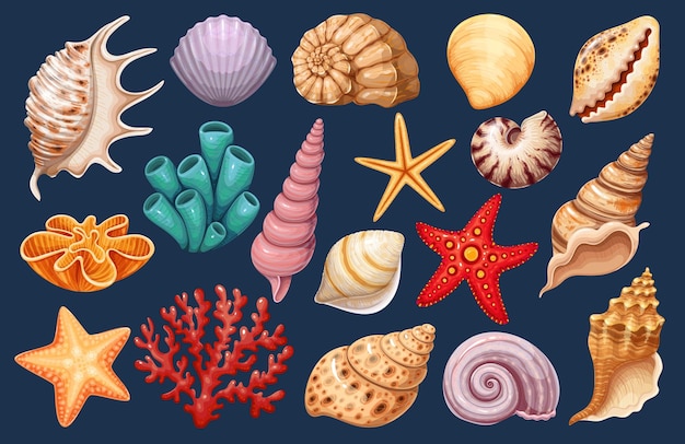 Vector iconos grabados de conchas marinas