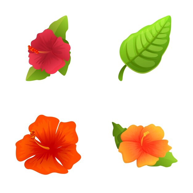Iconos de hibisco en conjunto vector de dibujos animados Hibisco rojo en flor con hoja verde