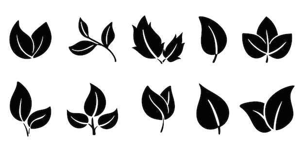 Iconos de hojas configurados Silueta negra de follaje y folletos