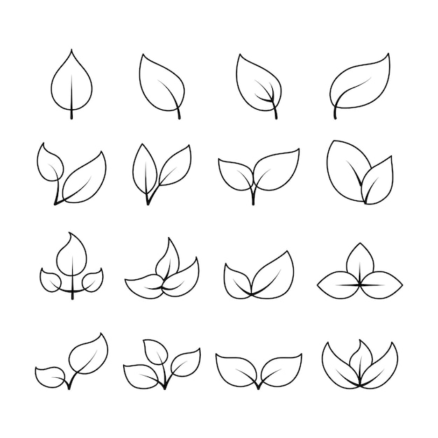 Iconos de hojas ecológicas de la naturaleza 04