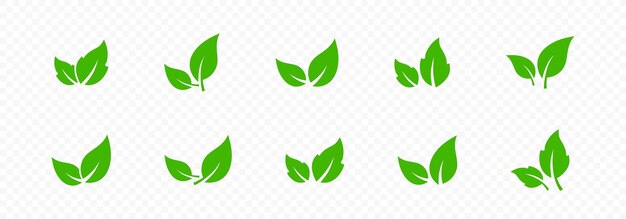 Iconos de hojas Hojas florales verdes Dejar conjunto de iconos Iconos de hojas planas aisladas Colección de follaje Gráfico vectorial