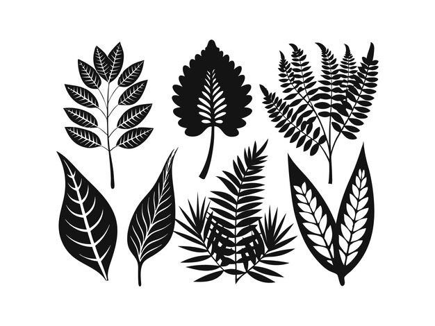 Iconos de hojas de verano de silueta vectorial Conjunto de helechos en fondo blanco