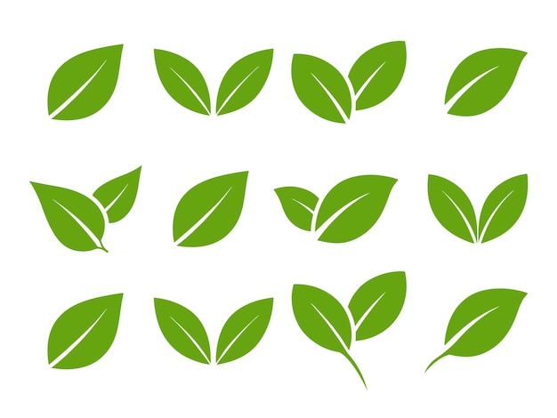 Iconos de hojas verdes Elementos vectoriales naturales y ecológicos